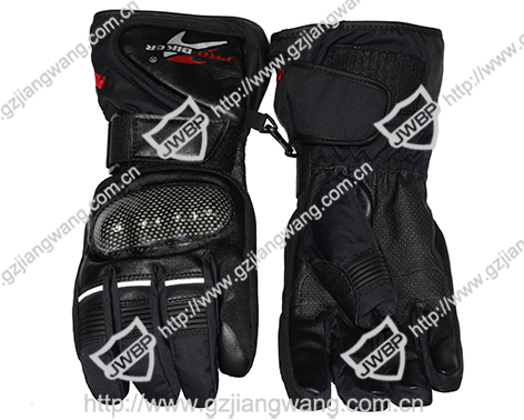 Motorcycle Glove